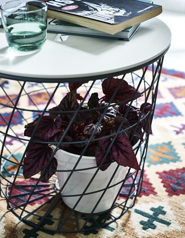 Table de rangement avec plante à l’intérieur du socle, posée sur un tapis à motif.