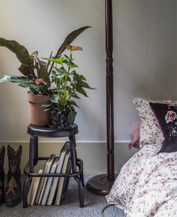 Tabouret de chevet surmonté de plantes en pots.