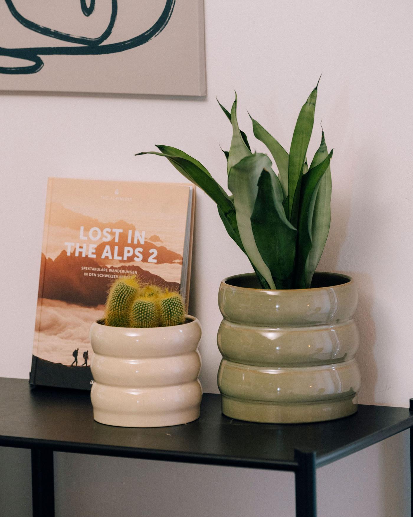 Tavolino nero con due coprivasi in ceramica, cactus, pianta verde e libro «Lost in the Alps 2».