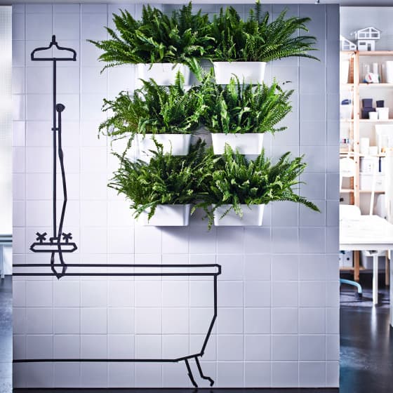 Thanks to suction cups you can attach six plastic boxes filled with ferns to the tiles on your bathroom wall. 