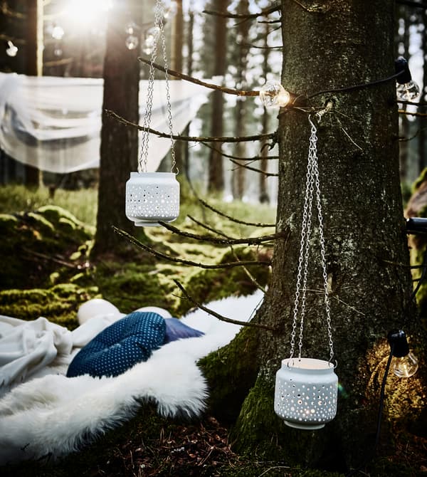 The base of a tree being used as a backrest for a seating area made from a sheepskin and cushions