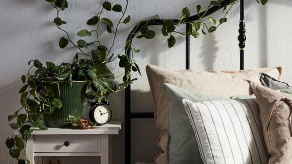 The side of a made bed with cushions and a bedside table, alarm clock, and a plant.