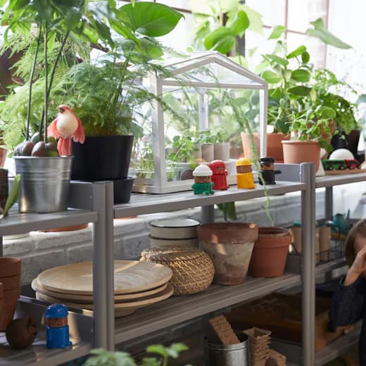 The SOCKER greenhouse sits on open shelving by a window with several plants, plant pots and other greenhouse items.