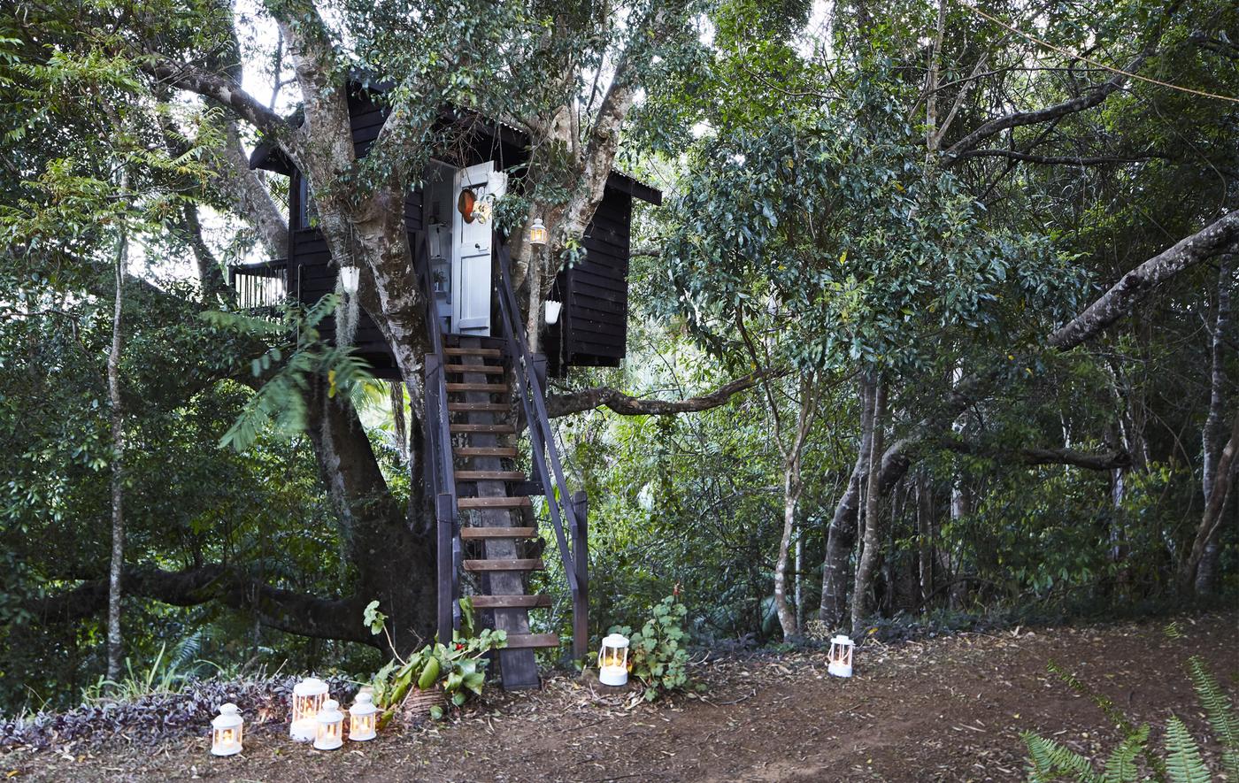 The tree house in Margaret’s garden