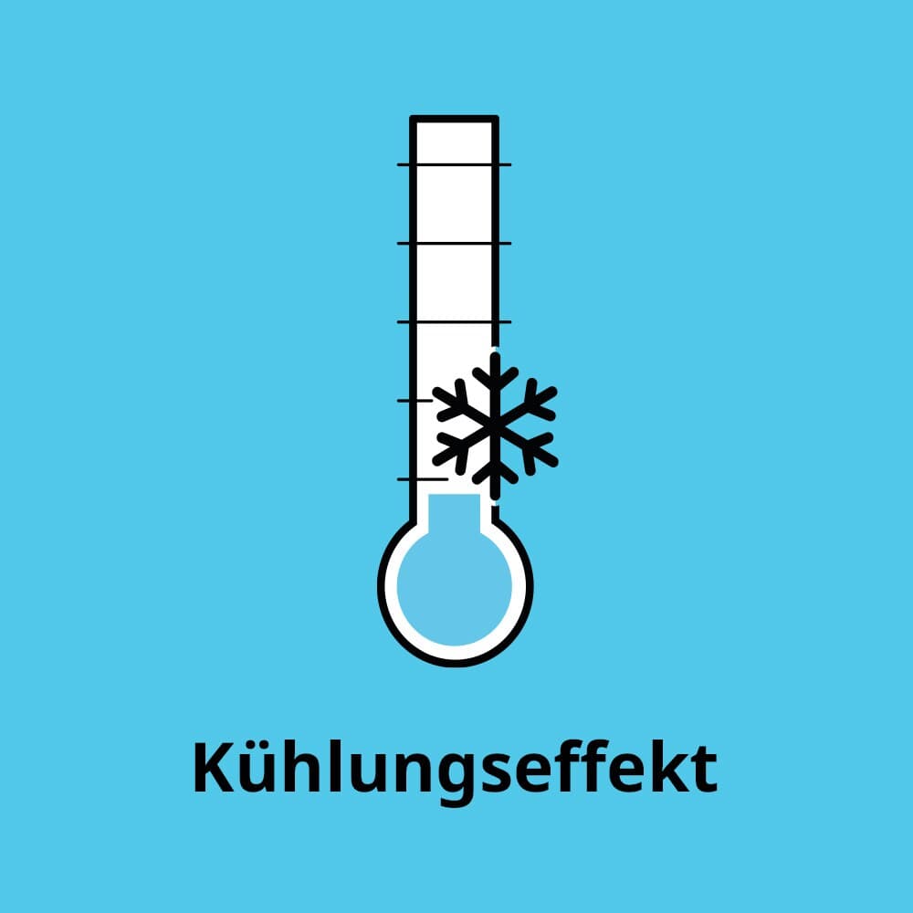 Thermometer mit blauer Kugel ganz unten und einer Schneeflocke (Kühlungseffekt).