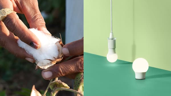 Towards a more sustainable future