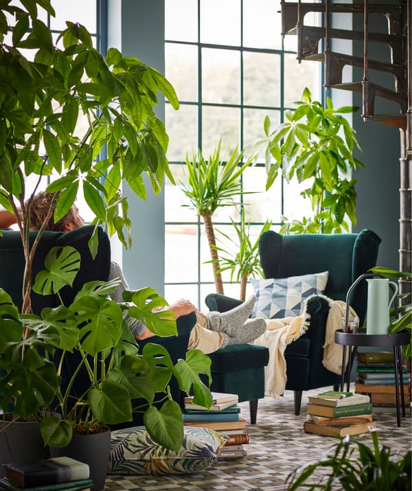 Two green armchairs facing each other with accompanying textiles, stacked books on the floor, and floor plants around them. 