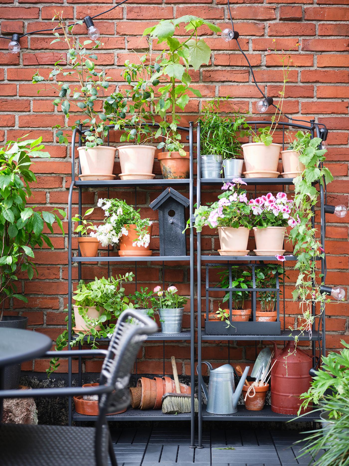 Two LÄCKÖ shelving units side by side against a wall filled with plants in terracotta pots and garden accessories.
