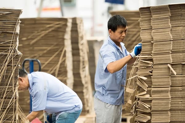 Two men diligently sorting through stacks of cardboard boxes at an IKEA supplier.