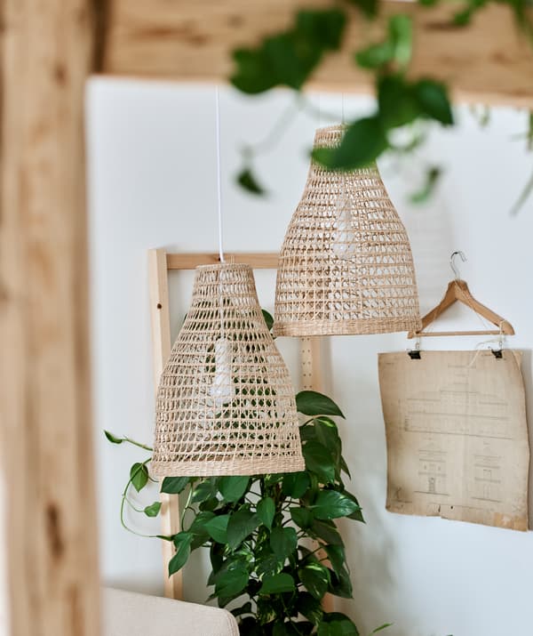 Two pendant lampshades woven in natural material hang next to a leafy green plant and blueprints displayed in a clip hanger.