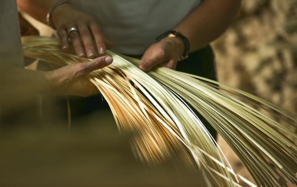 Two people holding strips of raw bamboo.