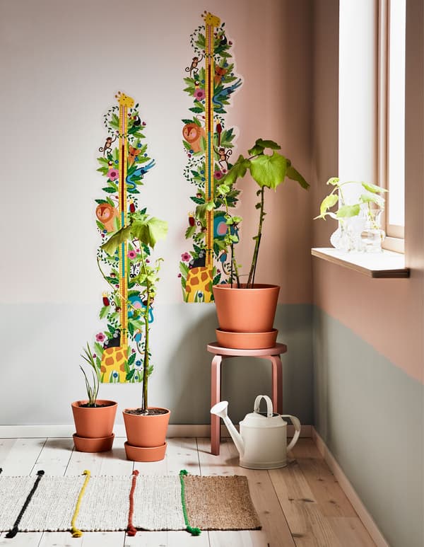 Two potted plants each sit in front of a wall with a jungled-themed height chart behind each.