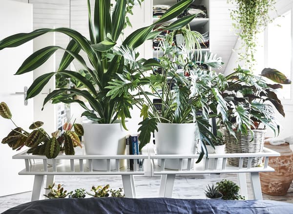 Two potting tables full of plants along the end of a bed.