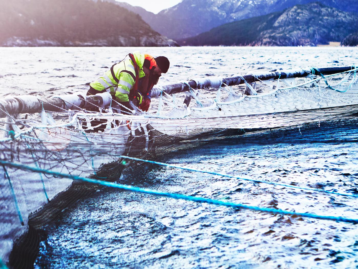 Two salmon farm workers dressed in heavy outdoor clothing tending a fish enclosure on a Norwegian salmon farm.