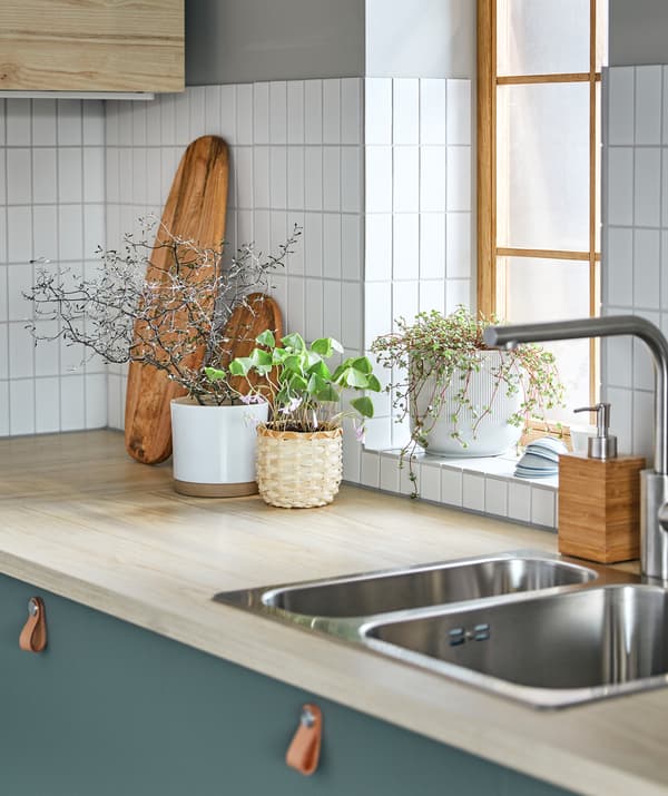 Un arrangement hétéroclite de plantes dans des pots décoratifs disposés sur un comptoir de cuisine, avec sur le côté, une fenêtre ensoleillée.