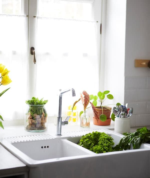 Un double évier large devant une fenêtre décorée de plantes.