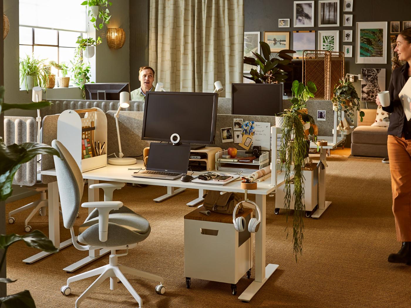 Un espace de bureau animé, aménagé dans des couleurs terre, avec des matériaux naturels, des plantes et un mur recouvert d’images. Deux collègues sont en train de discuter.