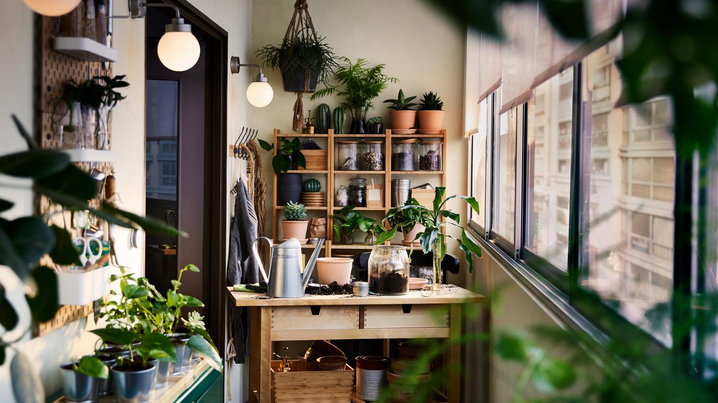 Un îlot de cuisine en bouleau, une étagère en bambou, une armoire et du rangement mural avec des plantes et des articles de jardinage tout autour.