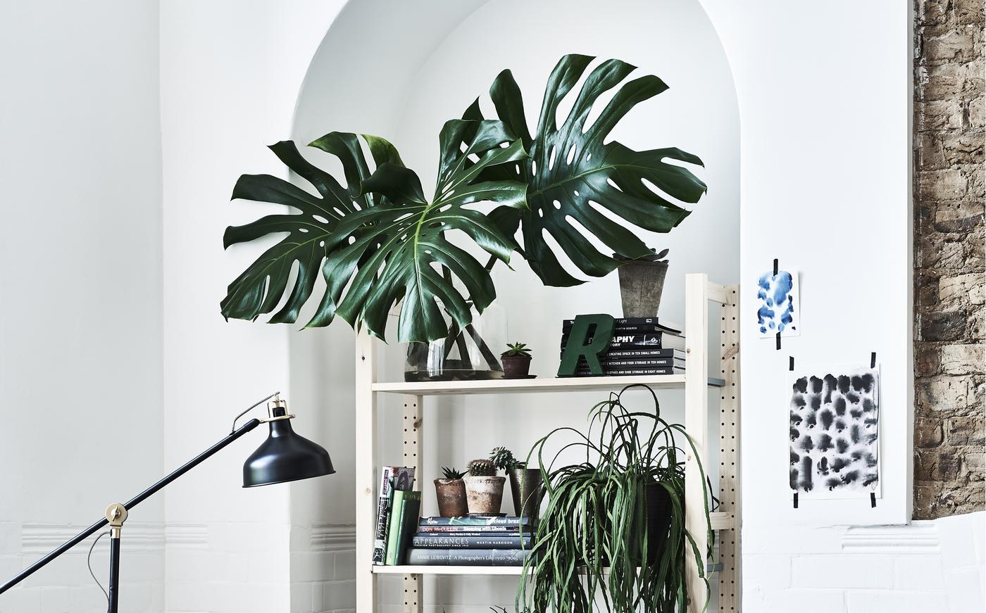 Un mur blanc avec une étagère et des plantes artificielles.