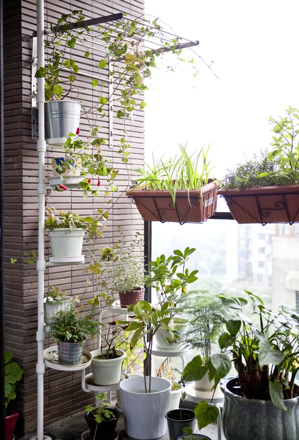 Un mur nature