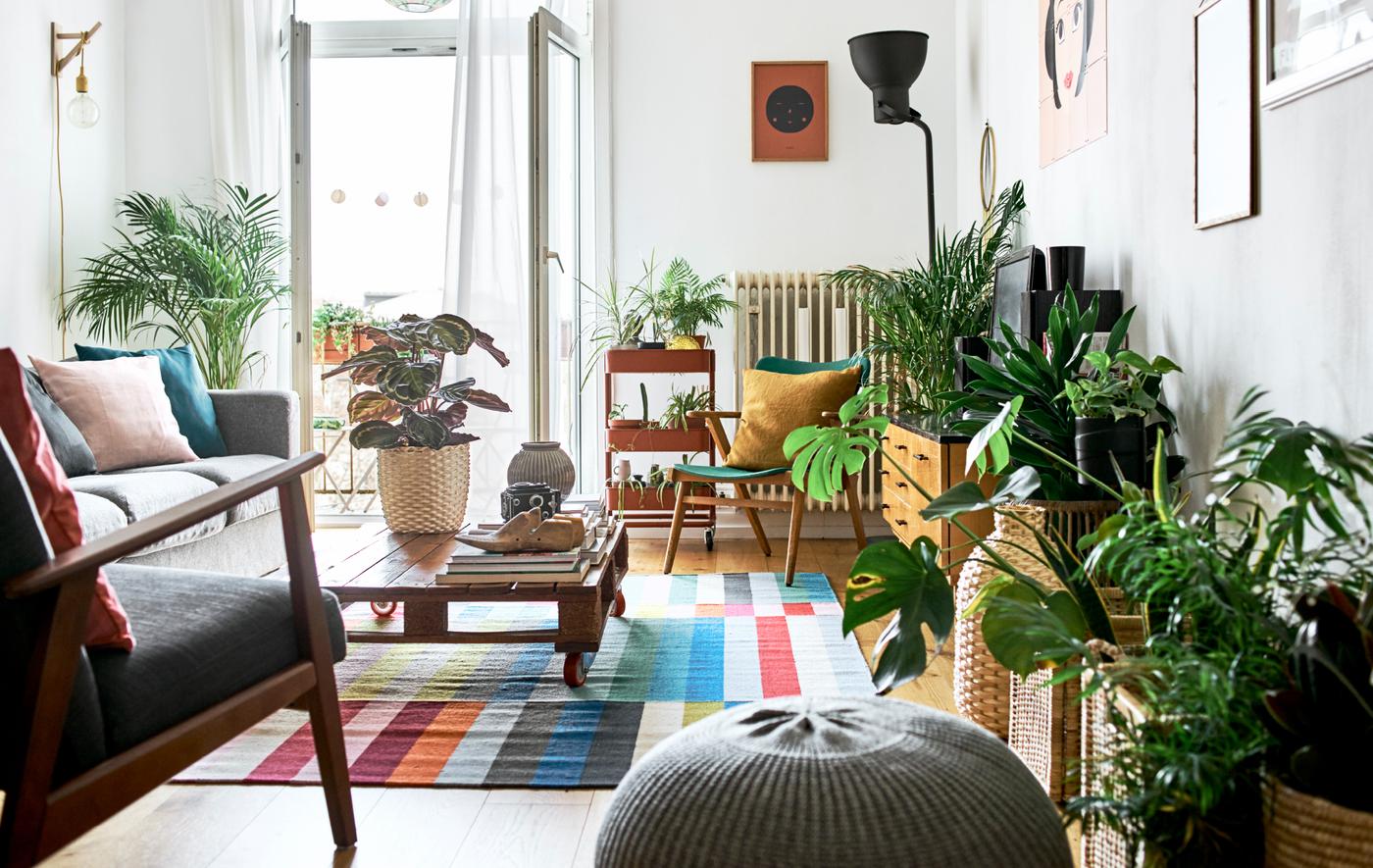 Un séjour avec des portes de balcon ouvertes, différents sièges moelleux, une palette reconvertie en table basse, un tapis coloré et des plantes vertes.