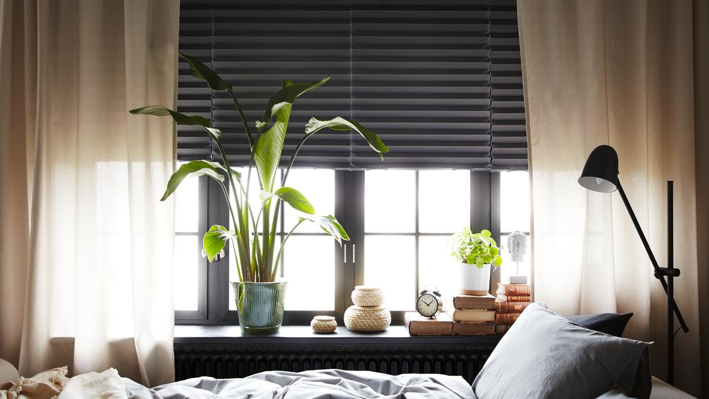 Un sofá-cama, utilizado como cama, se sitúa frente a las ventanas con cortinas roller plisadas SCHOTTIS block-out y delante de ellas velos.