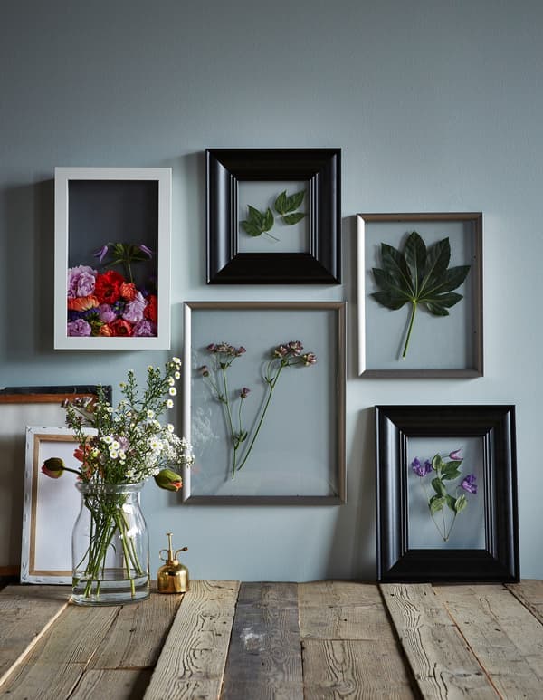 Un vaste choix de cadres et de boîtes vitrées créant de magnifiques natures mortes avec des fleurs séchées sur un mur.