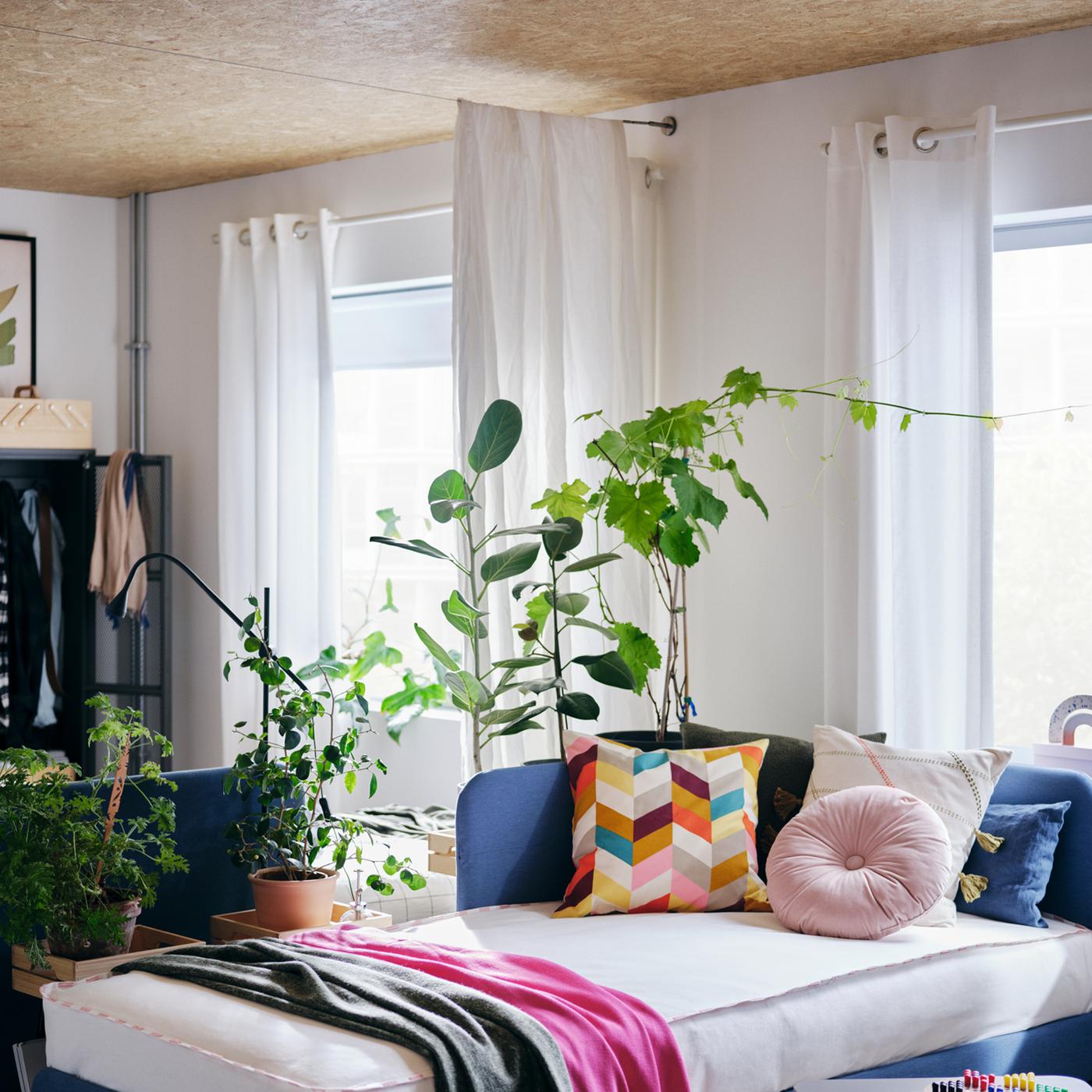 Une chambre avec un lit BLÅKULLEN avec des coussins multicolores, une table basse, des fenêtres avec des rideaux et des plantes vertes.