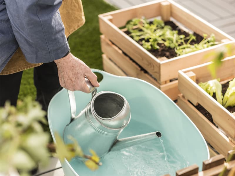 Une personne tient un arrosoir et verse de l’eau dans un grand seau se trouvant à côté de plusieurs jardinières en bois.