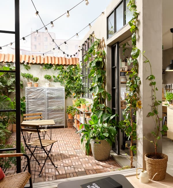 Une terrasse couverte de caillebotis en bois RUNNEN agrémentée de nombreuses plantes de différentes tailles dans des pots le long des murs.