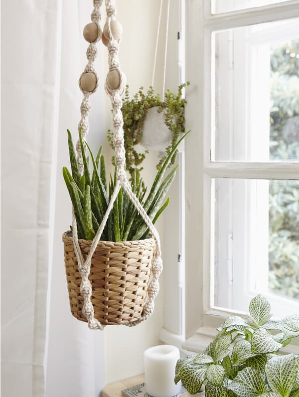 Use macramé to display indoor plants