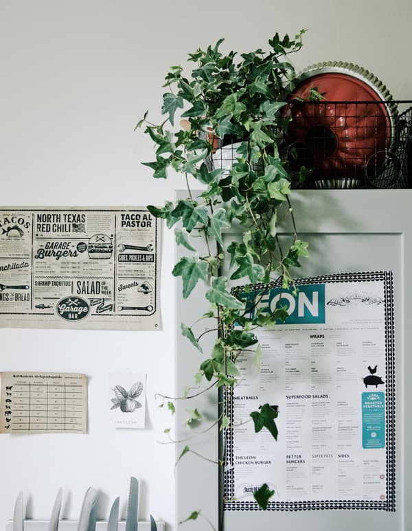 Utilisez des plantes pour embellir les rangements 