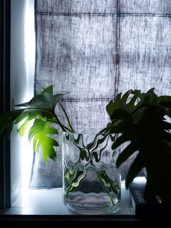 Vaas met groene bladeren voor een raam met verduisterende gordijnen om het zonlicht tegen te houden