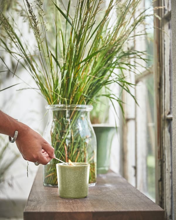 Vela aromatica sobre una mesa de madera, de fondo una planta dentro de una maceta de vidrio 