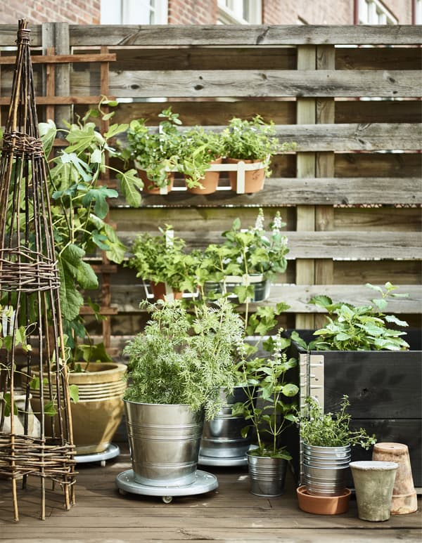 Verdure abondante et cache-pots SOCKER placés à l’extérieur, près d’une clôture en bois. 