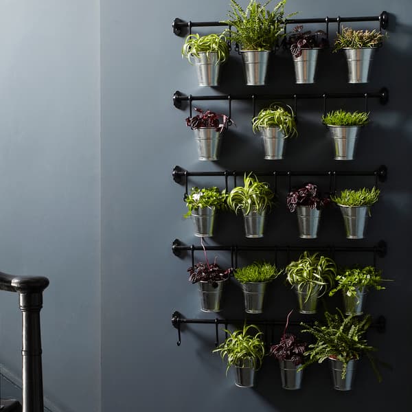Vertikale Bepflanzung & begrünte Wand