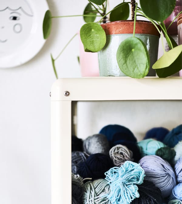 Vitrine avec pelotes de laine à l’intérieur et plante posée sur le dessus.