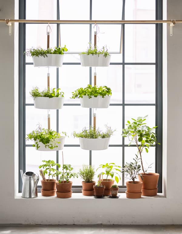 Vous rêvez de verdure mais vous n’avez pas de jardin ? Optimisez votre fenêtre avec des pots suspendus.