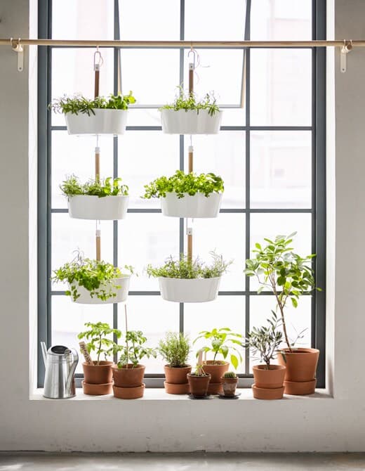 Vous rêvez d’un potager dans votre appartement? Allez au-delà de l’appui de fenêtre en suspendant des pots.