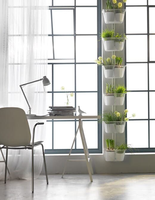 Vous rêvez d’un potager dans votre appartement? Allez au-delà de l’appui de fenêtre en tirant parti des murs entre les fenêtres.