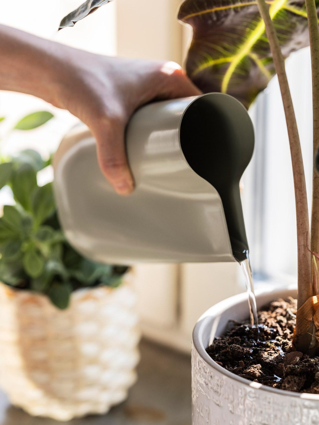 Watering cans