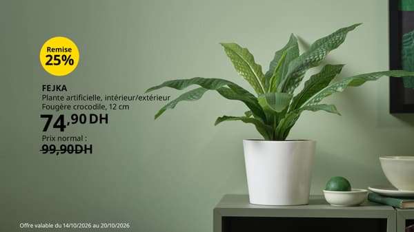 Weekly offer