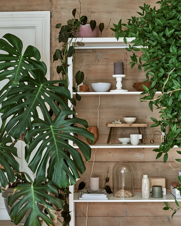 White metal shelving unit with a mixed display of plants, bell jars, ceramics and carved wood pieces.