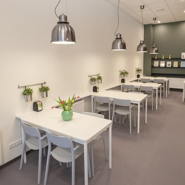 White office dining area with potted plants on the wall, white tables, and grey chairs arranged in neat rows.
