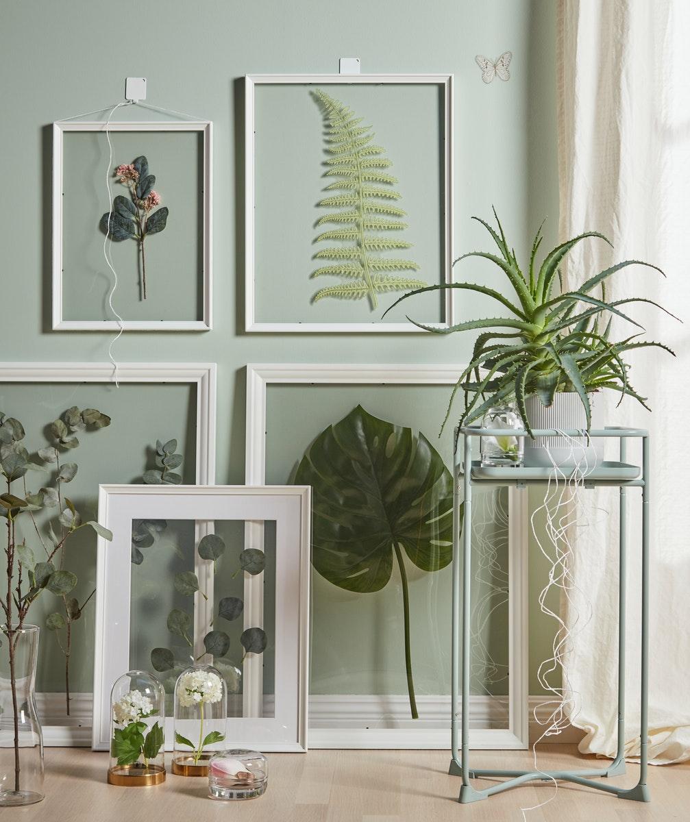 White picture frames with various green leaves inside, laid out on a light green wall.