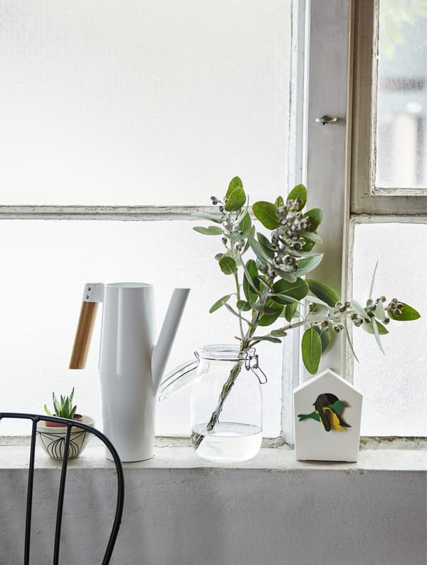 White watering can and jar with plants on a windowsill.