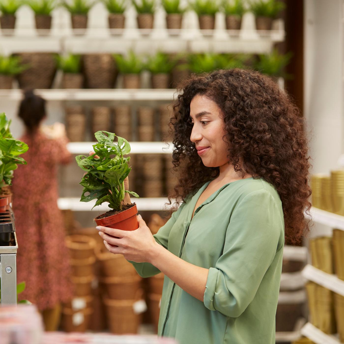 woman and plant