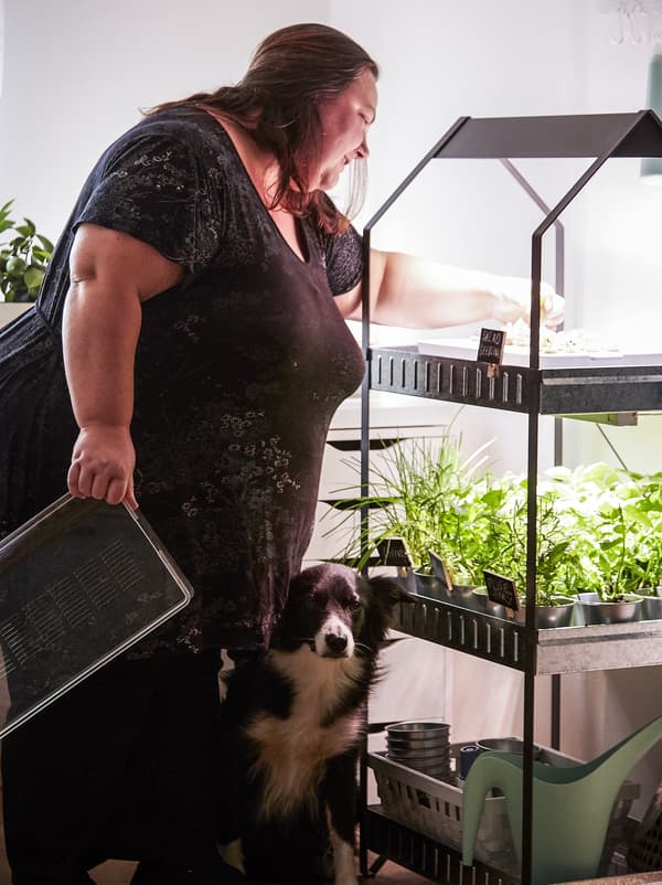 Woman with dog by her feet, reaching into hydroponic system.