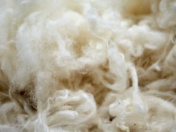 Wool is a natural, sustainable, renewable material that is often used in IKEA rugs.