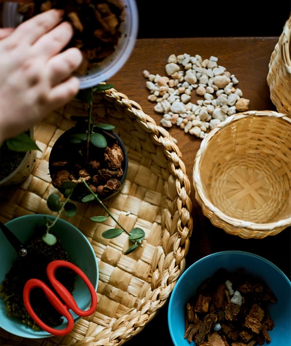 Woven baskets on a table with pots of planting materials.